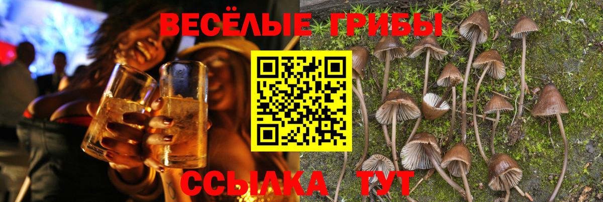 цена наркотик  Галлюциногенные грибы Psilocybe  Вход с VPN  Муравленко 